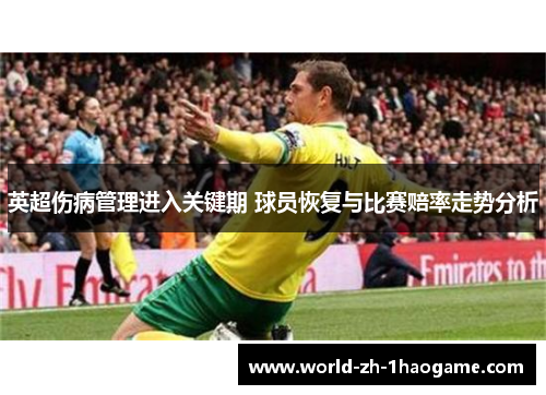 英超伤病管理进入关键期 球员恢复与比赛赔率走势分析