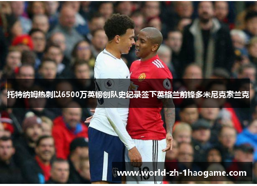 托特纳姆热刺以6500万英镑创队史纪录签下英格兰前锋多米尼克索兰克