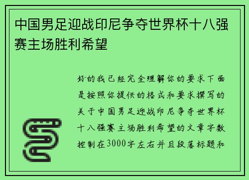 中国男足迎战印尼争夺世界杯十八强赛主场胜利希望